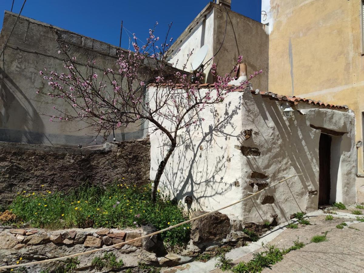 Sa Dommu 'E Su Coro Villa Triei Exterior photo